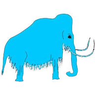 Icône de l'application